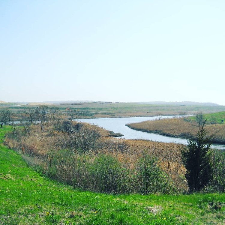 Freshkills Park, Staten Island