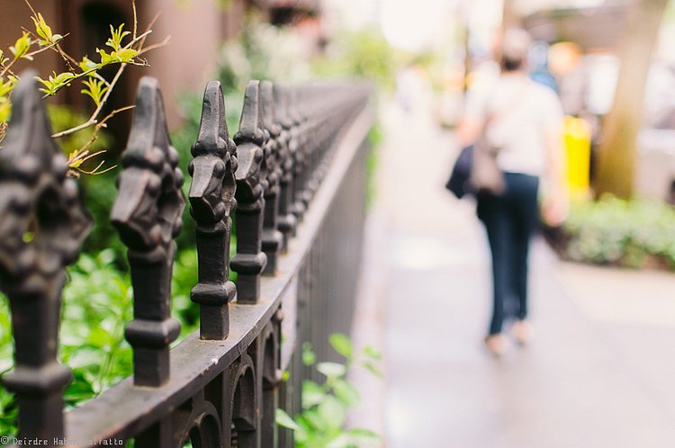 Gramercy Fence | (with Mom bokeh)

A trip into NYC (where I was born and raised) with my Mom on Monday gave my inspiration a kickstart. I had such a nice time. Thanks, Mom!

Happy Fence Friday all, and if I don't get a chance to wish you a Happy Mother's Day before Sunday, have one of those too!