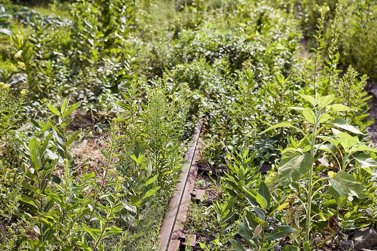 r_130817197_dkills_a