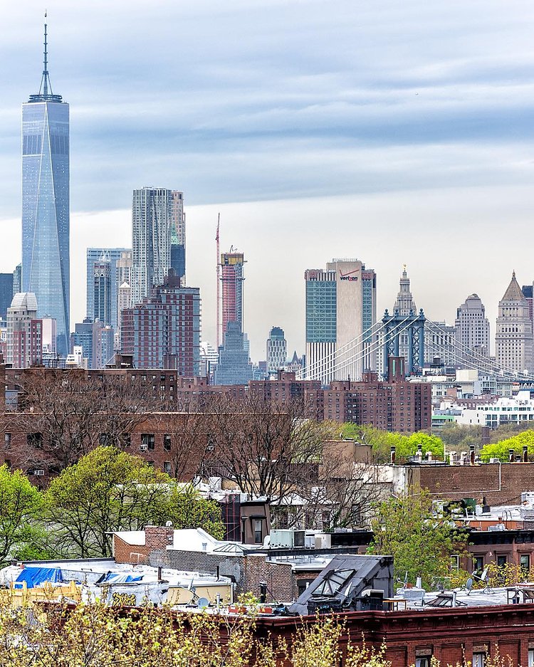 Here's a new vista I found of Clinton Hill and Fort Greene, Brooklyn with Lower Manhattan on the horizon.