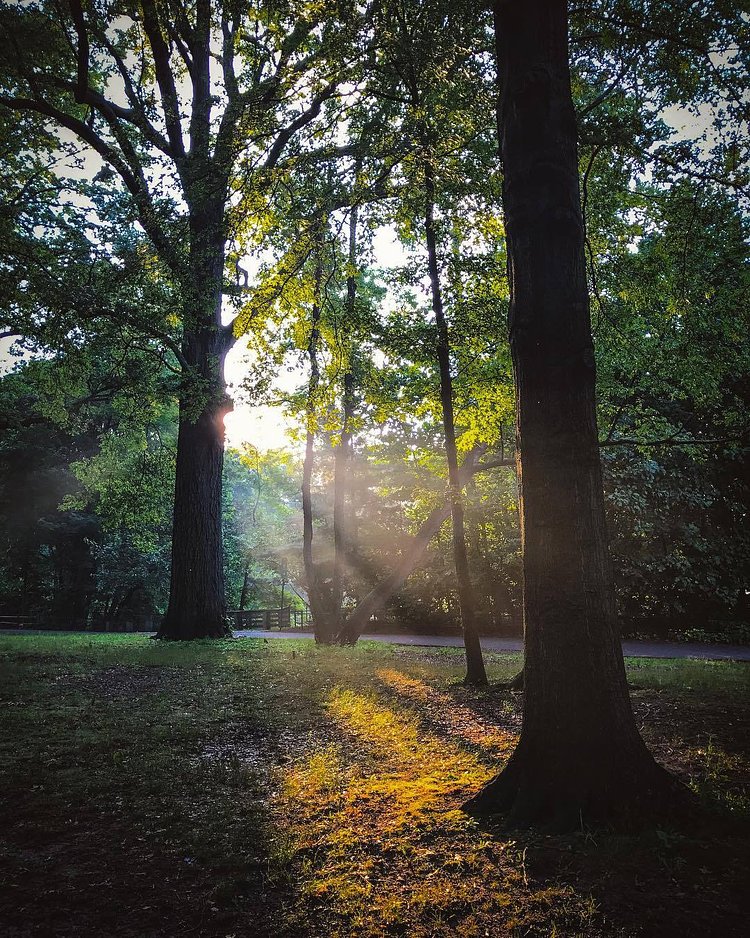 #vancortlandtpark #nyc #summer #bronx #bronxbestshots #igersofnyc #viewingnyc