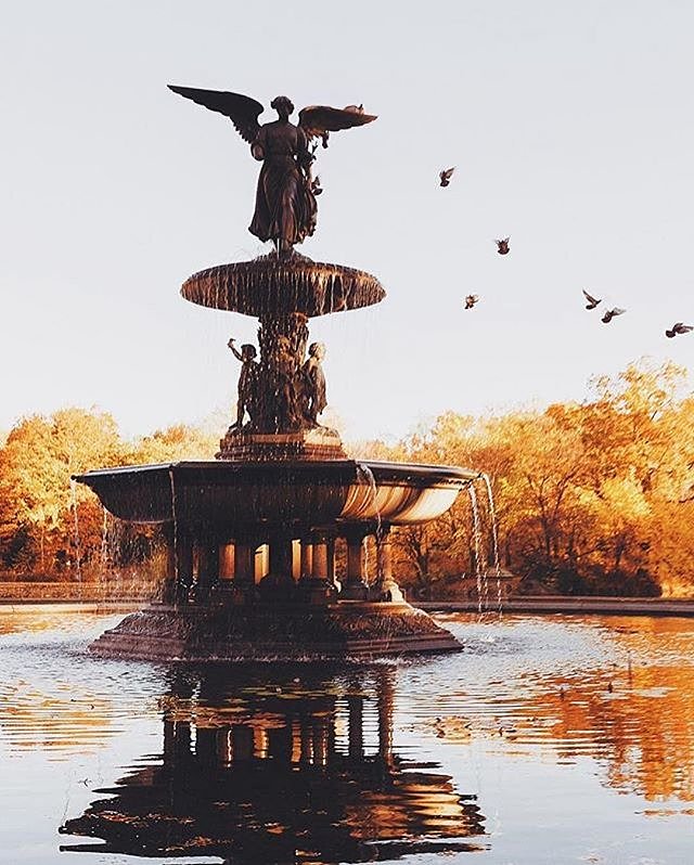 Photo via @jssilberman 
#viewingnyc