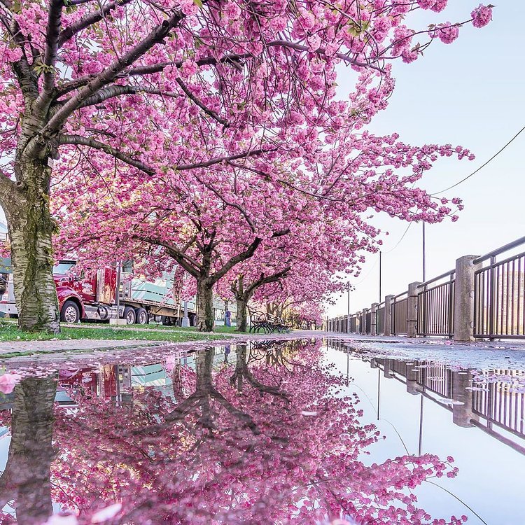Roosevelt Island, Manhattan