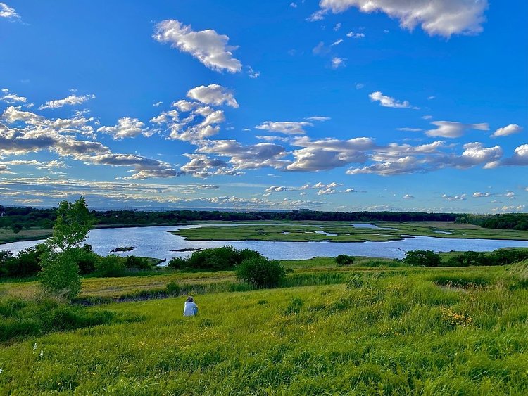 Freshkills Park, Staten Island