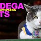 Bodega Cats In Their Own Words: Wolverine