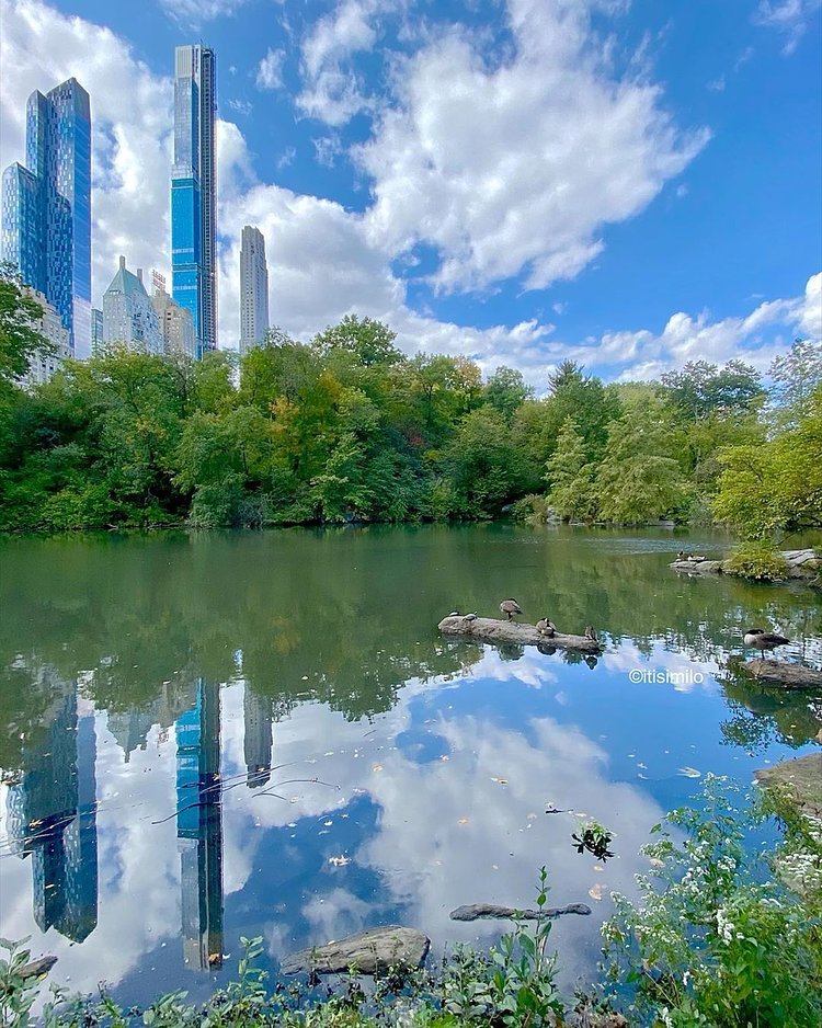 The Pond at Central Park, Manhattan