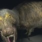 New T-Rex Exhibit At Museum Of Natural History