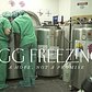 Egg Freezing: A Hope, Not a Promise