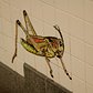 Cricket Subway | A mosaic of a Cricket at the 81st Street Subway Station.