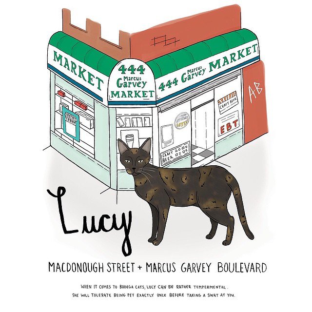 Lucy // Bed-Stuy
#brooklynbodegacats #bodegacats #bodegacatsofinstagram #catsofinstagram #brooklyn #illustration