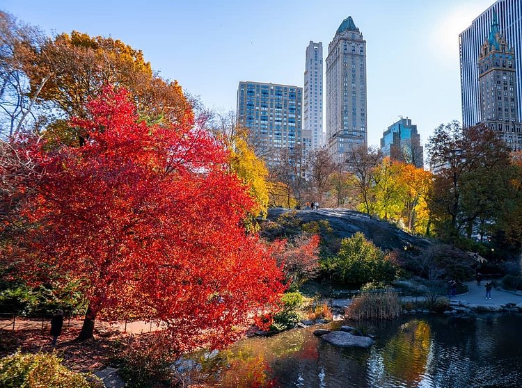 Central Park, Manhattan