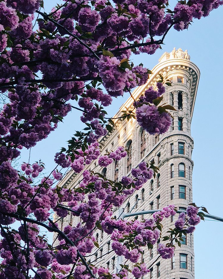 Flatiron Building, New York, New York
