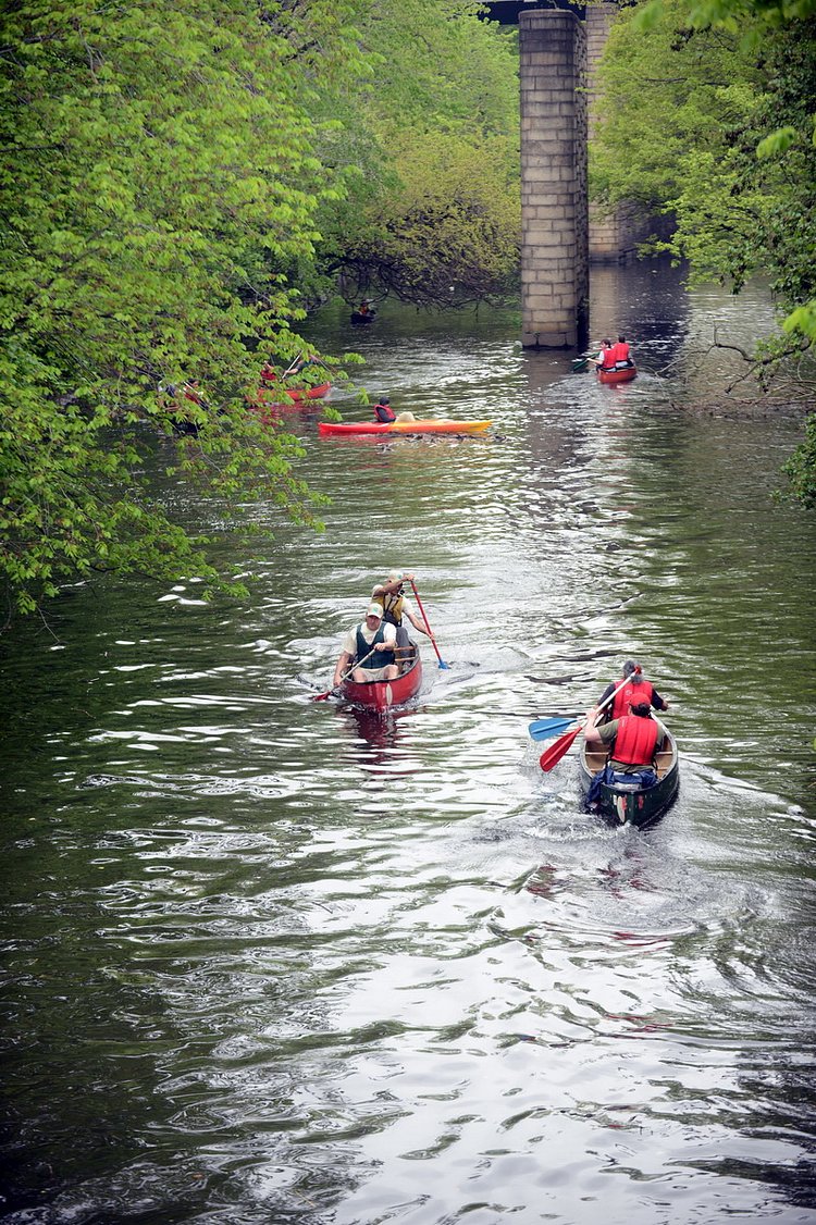 Live Streaming: A Fresh View of the Bronx By Canoe