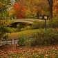 Bow Bridge, Central Park, New York