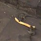 Subway Rats Fighting for Food - New York Subway Rats Again!
