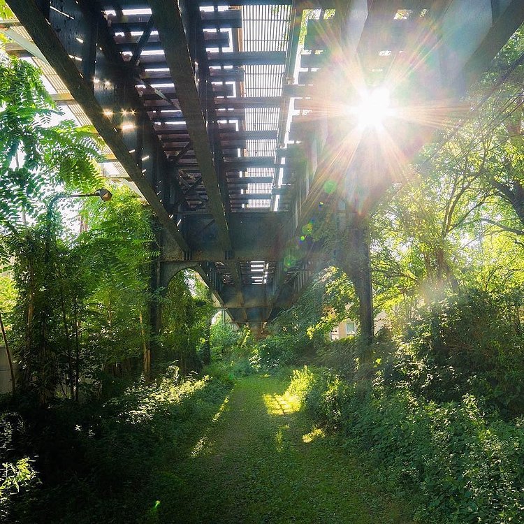 Brooklyn, New York. Photo via @opoline #viewingnyc #newyorkcity #newyork