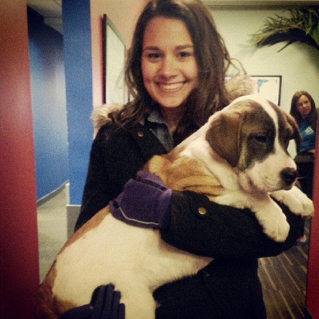 Happy #NationalPuppyDay from #5WPR and Camp Bow Wow!