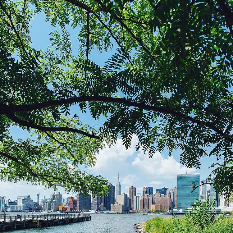 The concrete jungle.