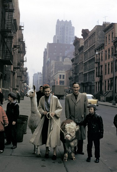Linda the Llama and friends, 1957.
