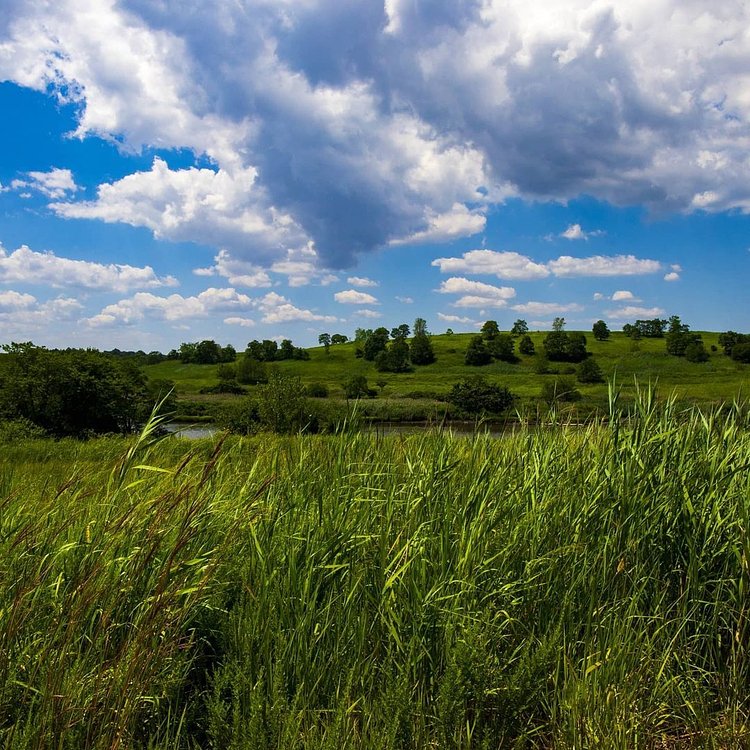 Freshkills Park, Staten Island