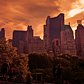 Central Park Twilight