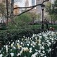 Madison Square Park, Manhattan. Photo via @melliekr #viewingnyc #nyc #newyork #newyorkcity