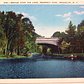 Vintage Postcard - Prospect Park, Brooklyn, N.Y.