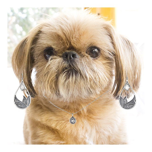 How could we resist?! Happy National Puppy Day! | #NationalPuppyDay #springcollection #instadog #instapuppy #puppylove #dogsofinstagram #instalike #instalove #love #fun #cute #adorable #puppy #jewelry #loveit #like #picoftheday #bestoftheday #photo #photooftheday #happy #smile #Monday #ig #igers #igdaily #style #SatyaStyle #SatyaJewelry #DesignedForTheJourney🐶🐾✨😍