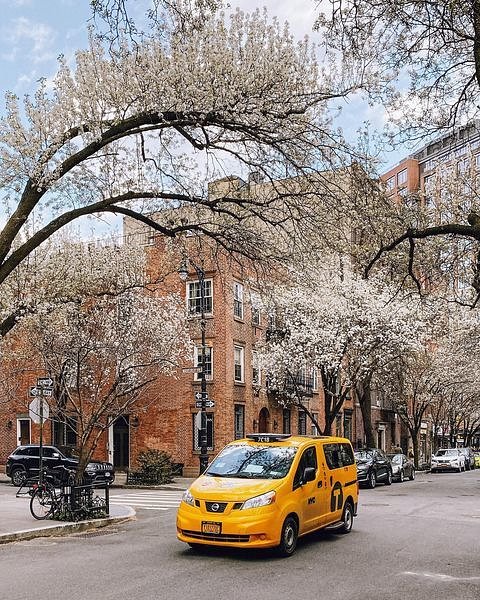 Spring in the West Village, Manhattan