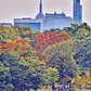 Autumn in Central Park, Manhattan