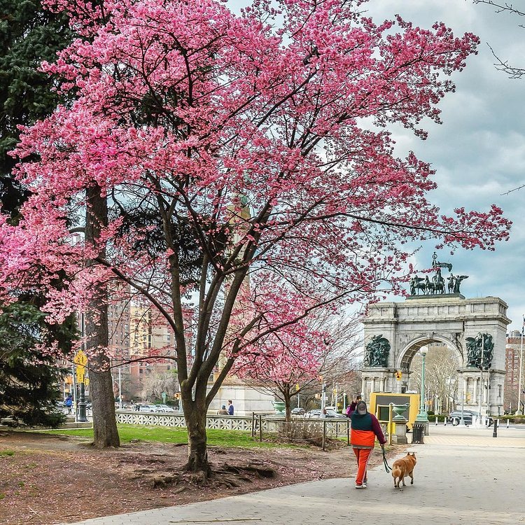 Prospect Park, Brooklyn