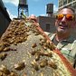 Beekeeper Turns Rooftops Into Buzzing Farms