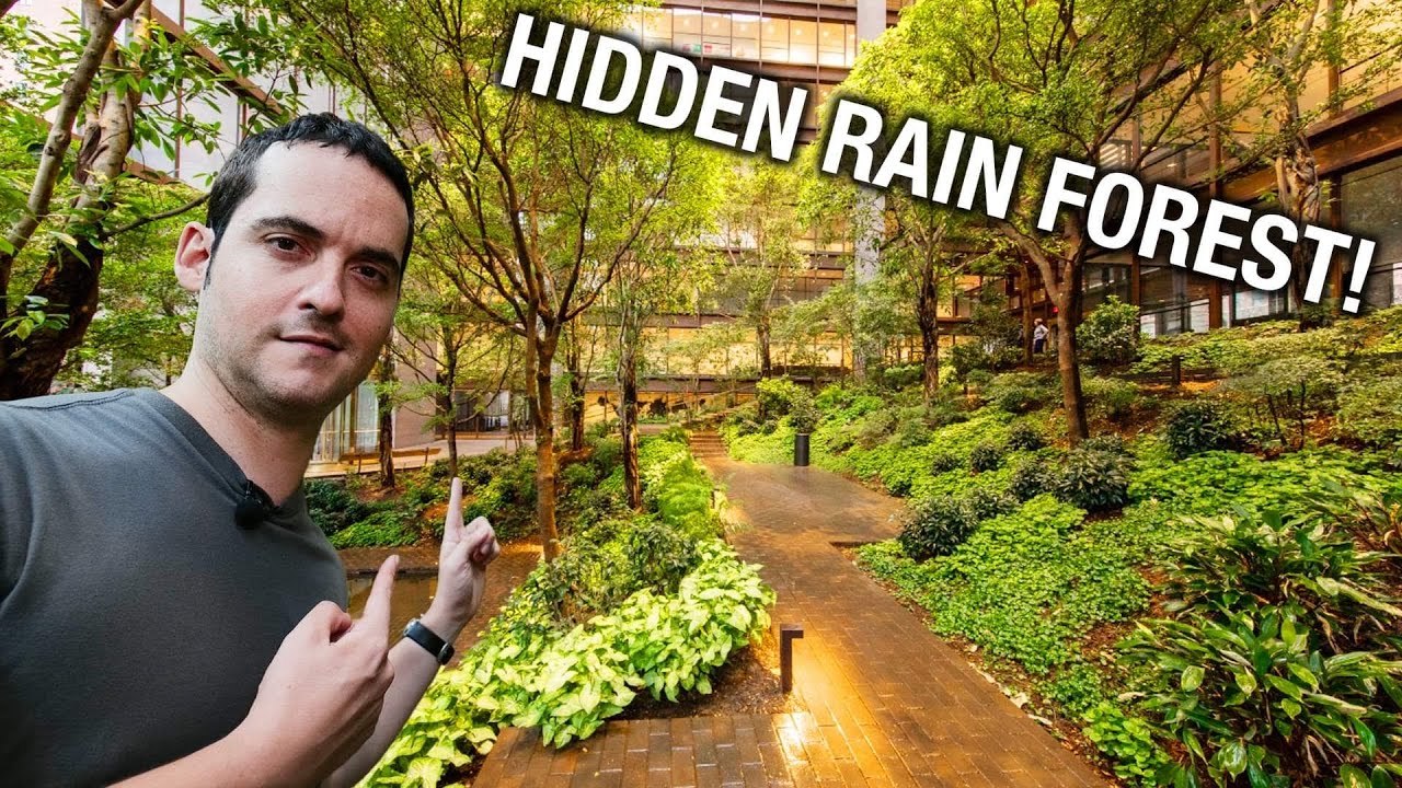 [WATCH] You Won’t Find These New York City Hidden Gems in Any Guidebook