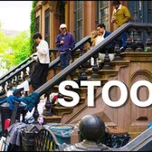 New York's Stoops, Explained