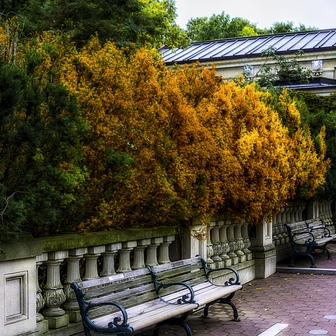 Meet Soraya Doolbaz, a Professional Photographer of Penises [NSFW