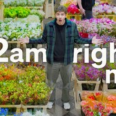 I explored the high-stakes world of NYC’s flower market
