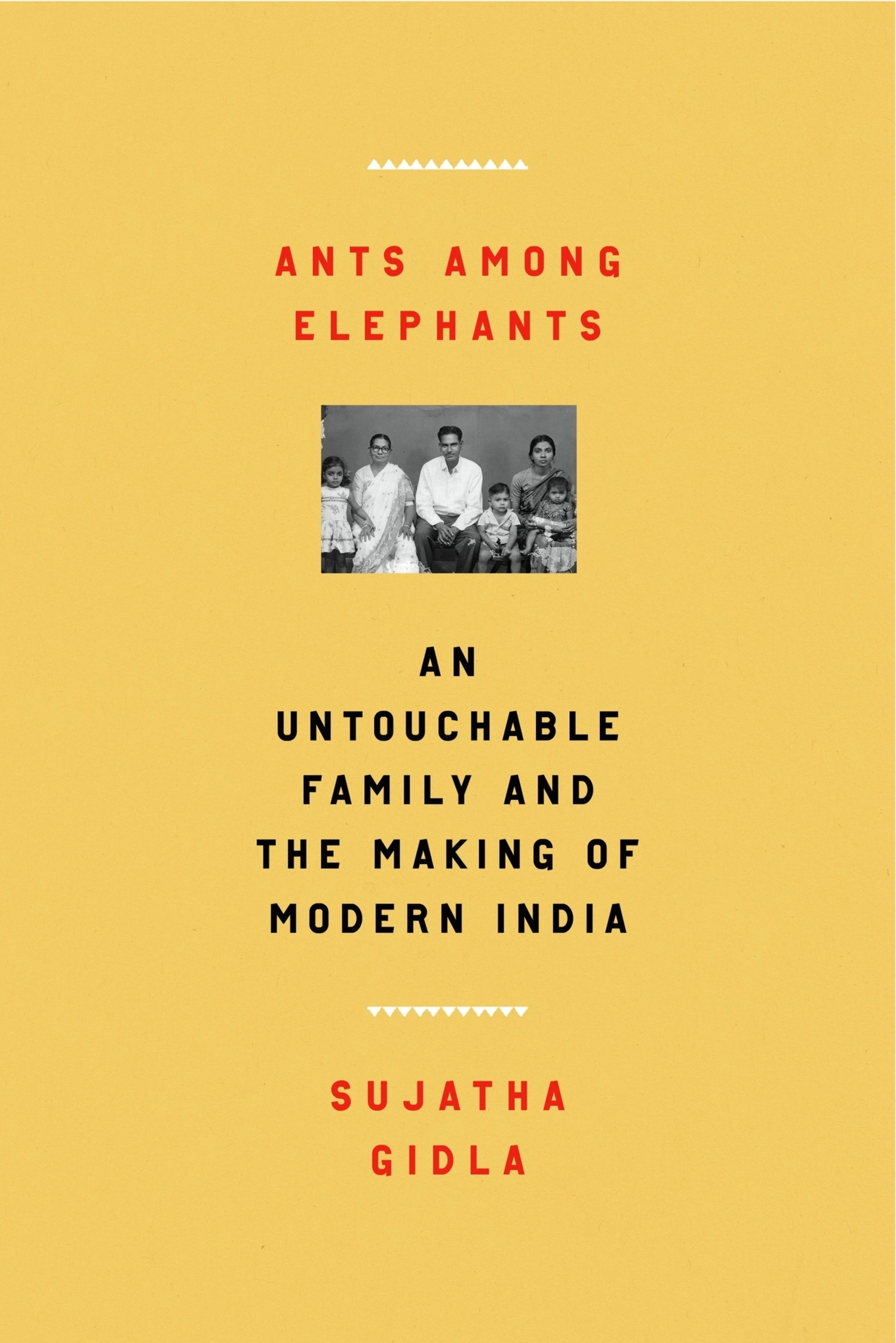 Ants Among Elephants: An Untouchable Family and the Making of Modern India. Book Cover