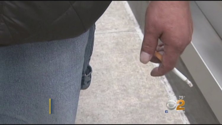 IS SMOKING ALLOWED IN NEW YORK CITY PARKS visual data 6