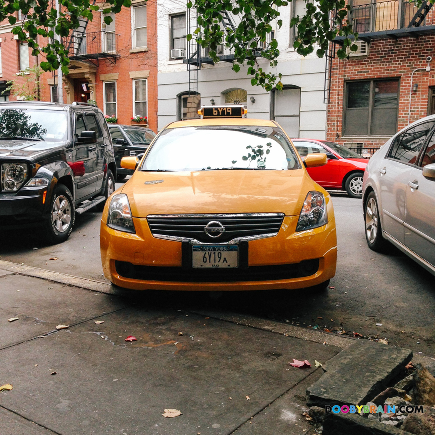 Photo guide to NYPD's fleet of undercover taxi cabs