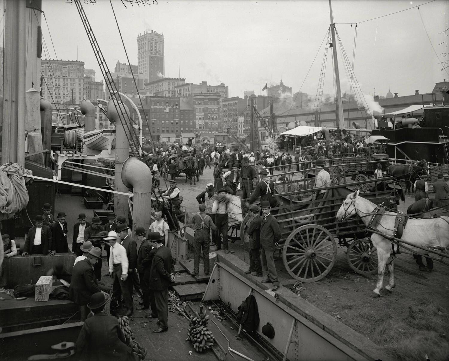 Banana docks, New York, ca.1890-1910