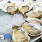Revealed: Diving into New York's Oysters History | News 12