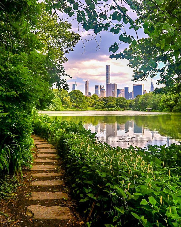 Central Park, Manhattan