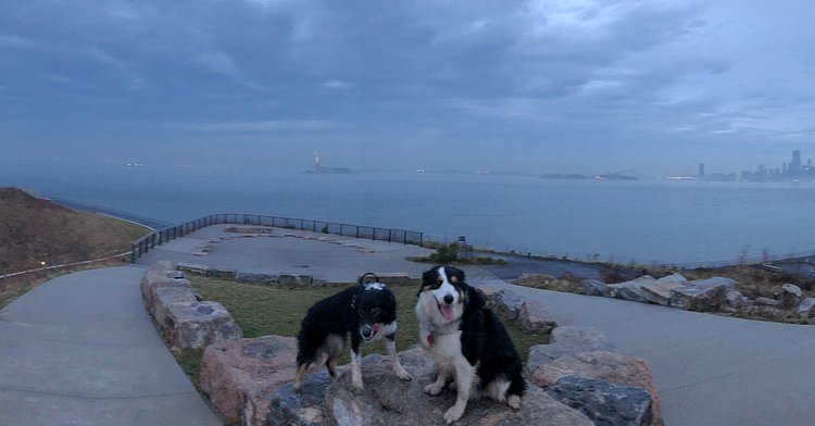 Good morning New York City. 32 days till Governors Island opens for the season! We can’t wait to welcome you all back.