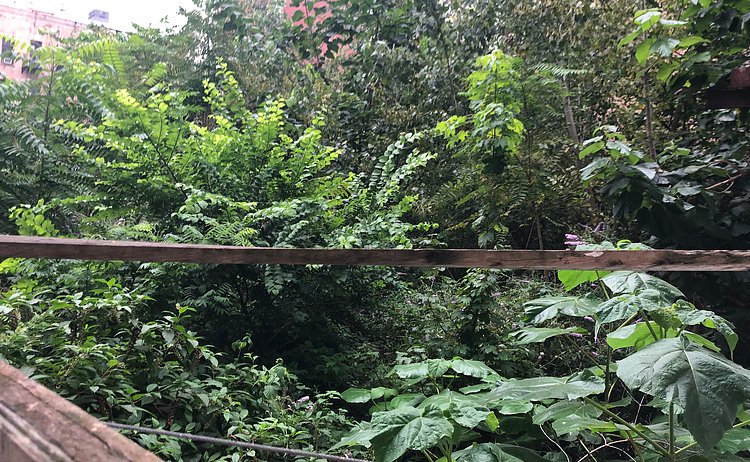 1st Avenue & E 78th St