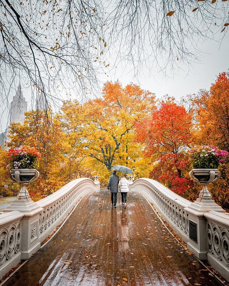 Bow Bridge, Central Park, Manhattan
