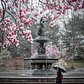 Bethesda Fountain, Central Park, Manhattan