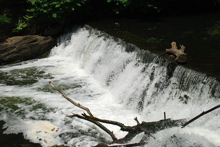 Small Waterfall at New York Botanical Garden