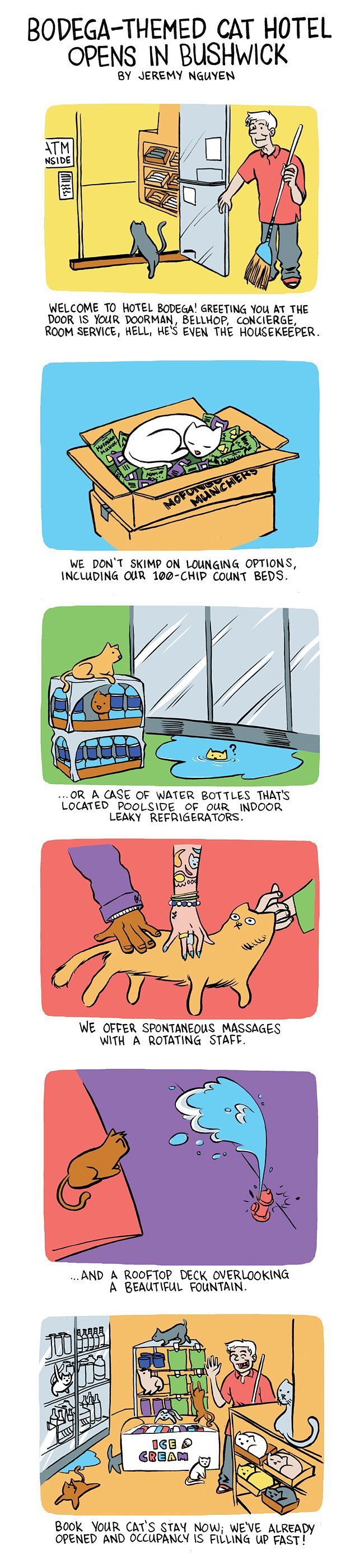 Bodega-Themed Cat Hotel Opens in Bushwick!