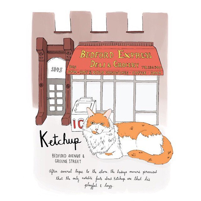Ketchup // Bed-Stuy
#brooklynbodegacats #brooklyn #bodegacats #bodegacatsofinstagram #catsofinstagram