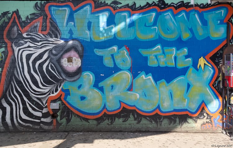 The Bronx